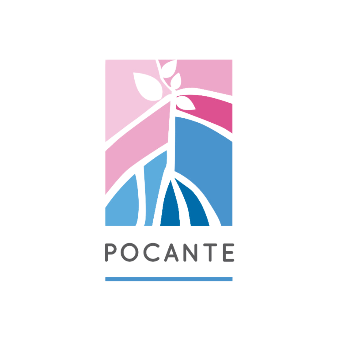 Rede Pocante